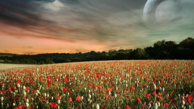 为什么不用rust重写Nginx?